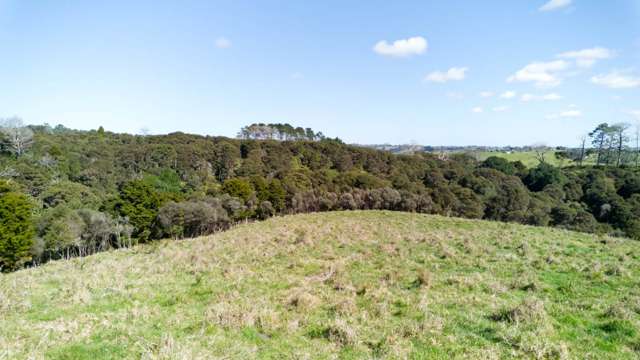 77 Waikopua Road Whitford_2