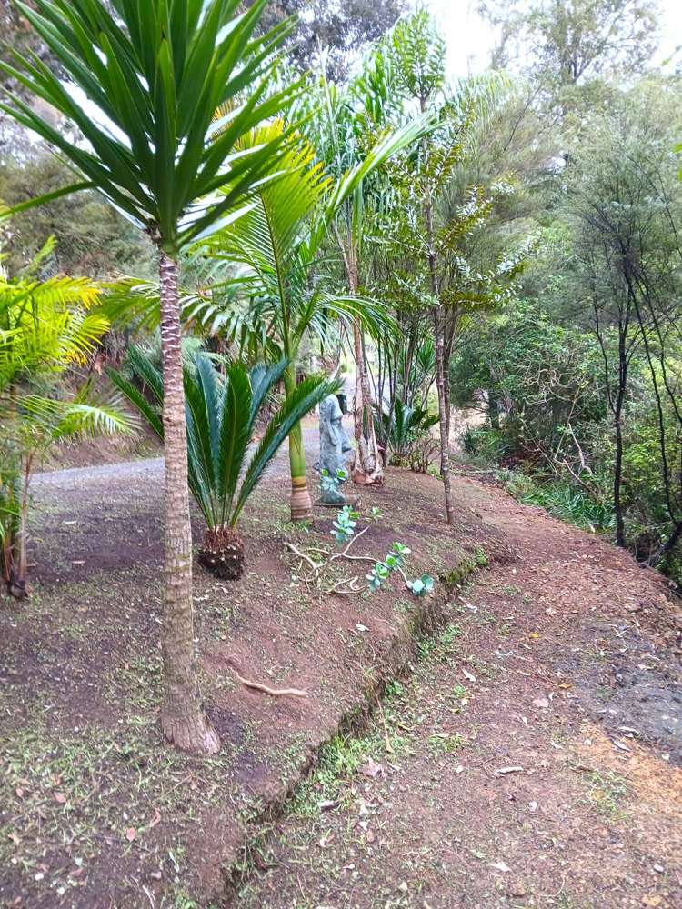 969 Broadwood Road Broadwood_7