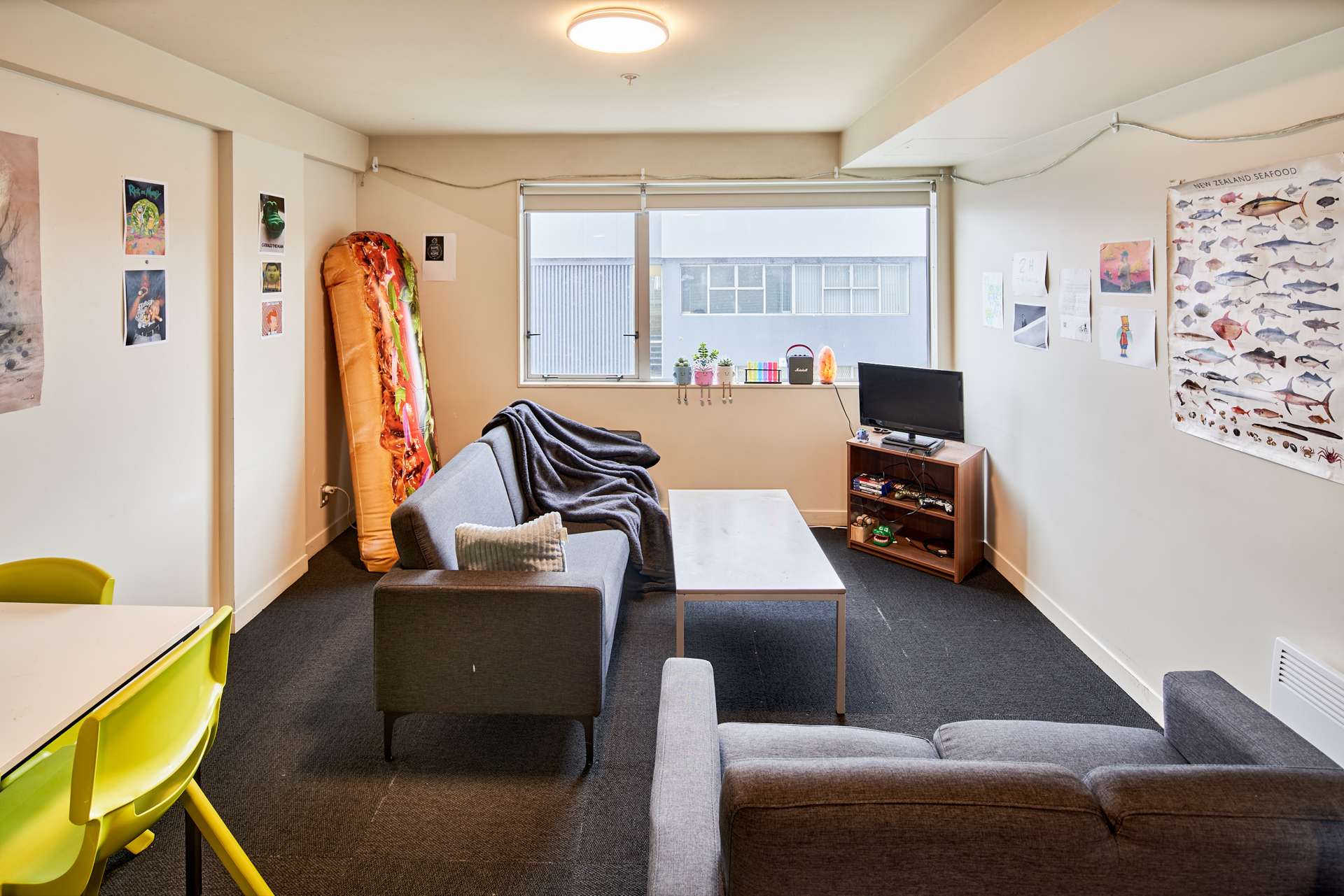 2h/242 Taranaki Street Mount Cook_0