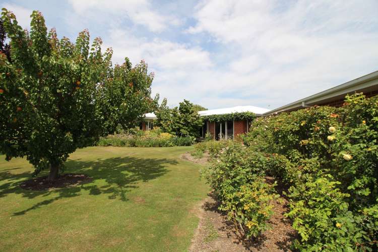 36 Ventry Street Alexandra_17