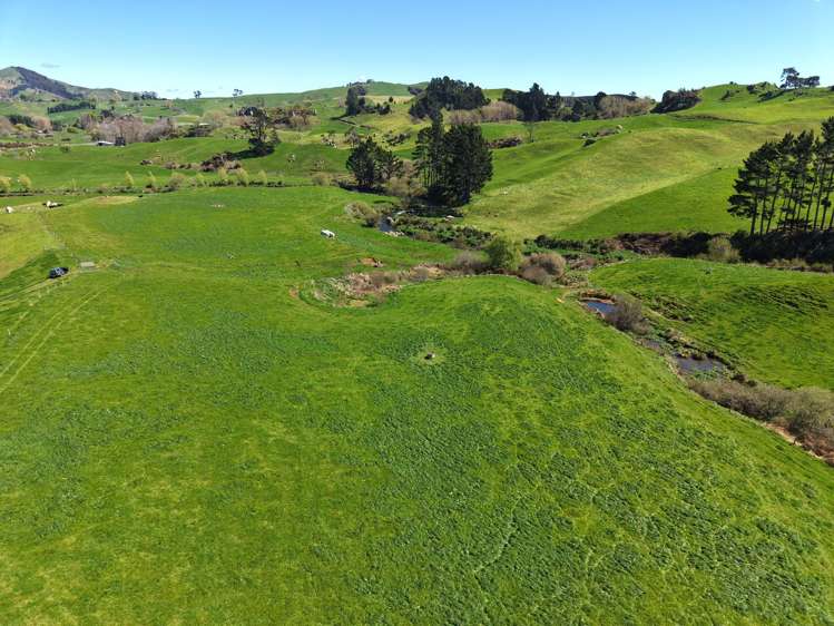 258 Wharepapa South Road Te Awamutu_17