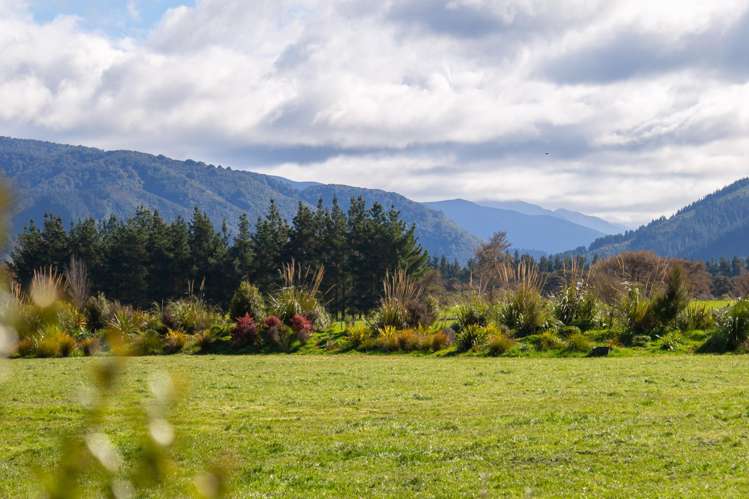 Lot 3/277 Woodside Road Greytown_14