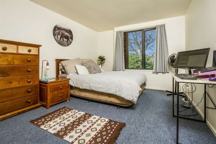 10/11 The Avenue Albany_12