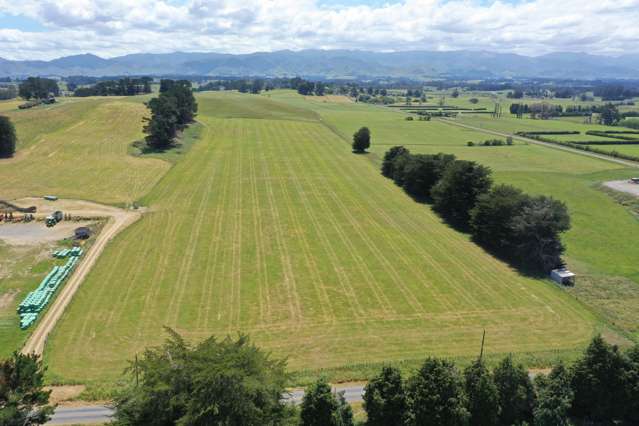 Summer safe dairy run off opportunity