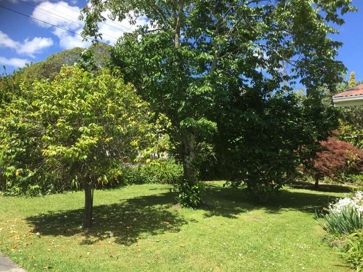 162a Whitaker Street Whataupoko_2