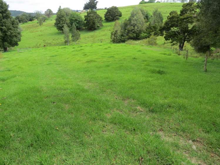 Lot 4 Taylor Road Taipa_13