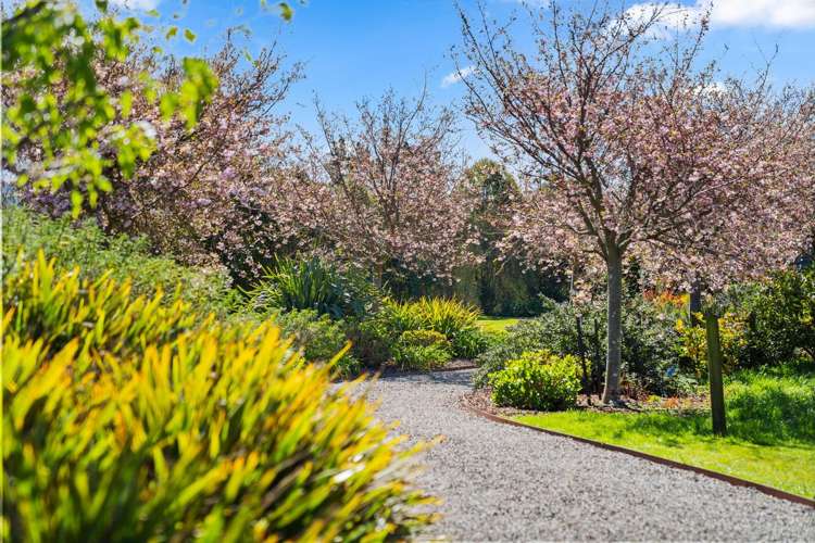 45 Governors Green Drive Greytown_23