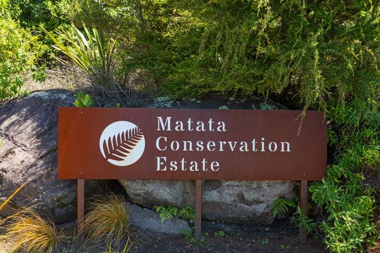 201 Kokako Heights Matata_10