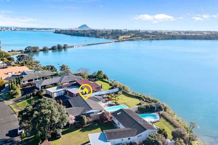 85 Te Hono Street Maungatapu_2