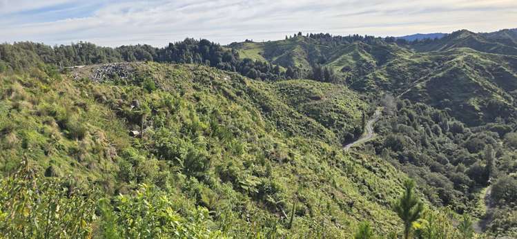 Junction Road Stratford_9