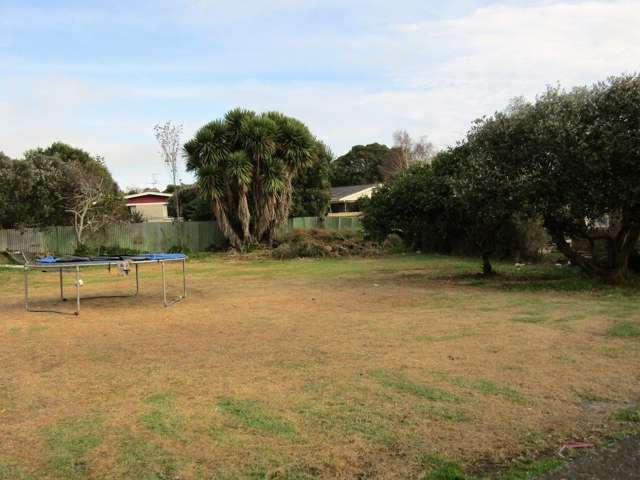 22 King Street Waiuku_1