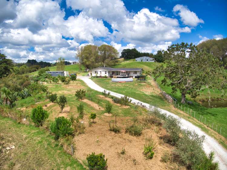 20 Lupis Way Kaiwaka_21