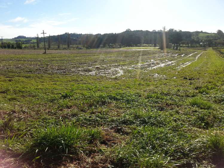 State Highway 12 Matakohe_3