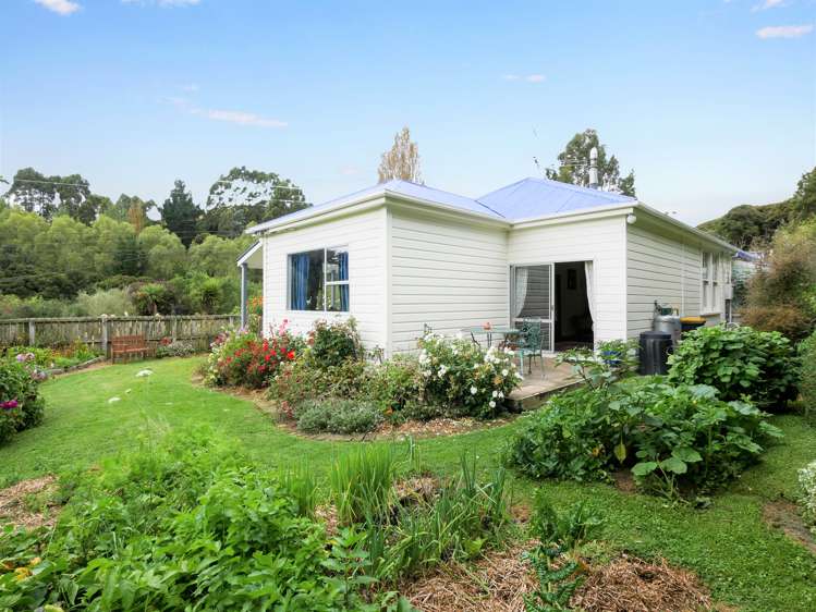 26 Allans Beach Road Portobello_21