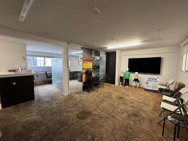 Whole building/4 Ebor Street Te Aro_4