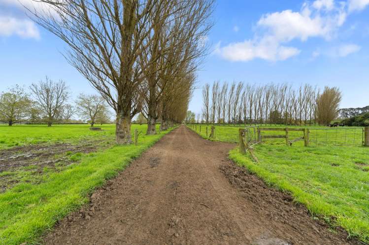 63 Harbottle Road Morrinsville_17