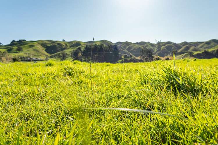 7 Maungakotukutuku Road Paraparaumu_13