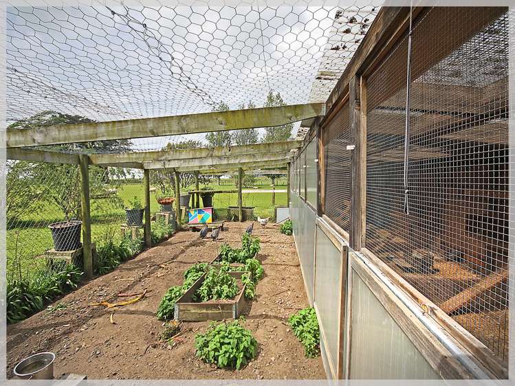 296 Motuiti Road Foxton_25