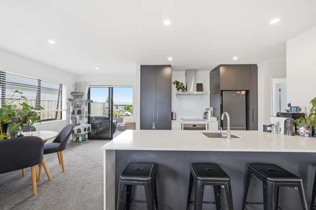 9 Gossett Lane Pegasus_4