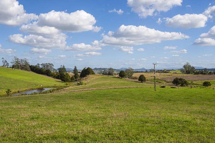 278 Pigs Head Road Hikurangi_12