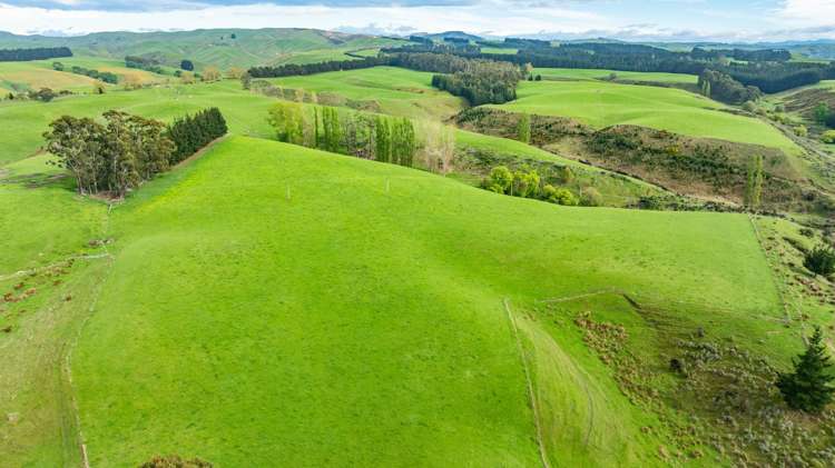 1241 Blythe Road Domett_22