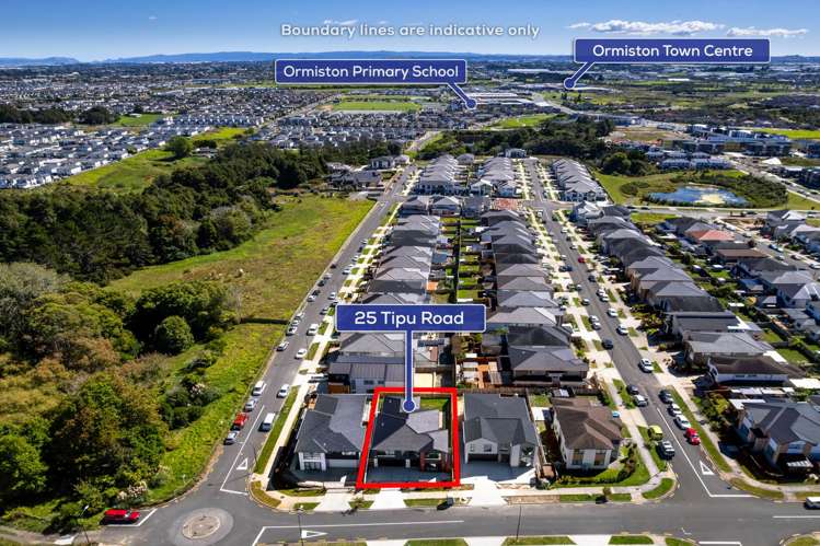 25 Tipu Road Flat Bush_16