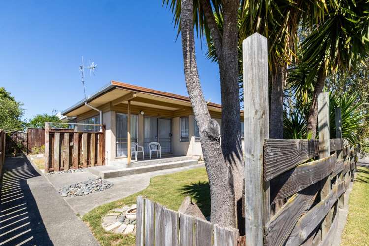 35 Freyberg Avenue Tamatea_11