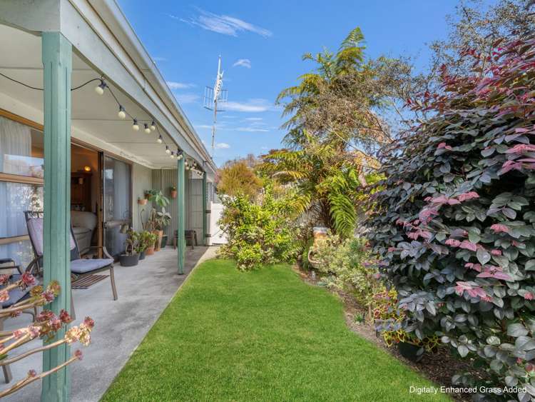 365A Old Taupo Road Springfield_1