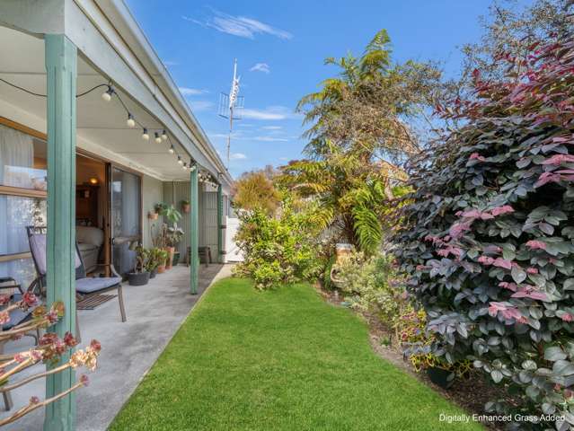 365A Old Taupo Road Springfield_2