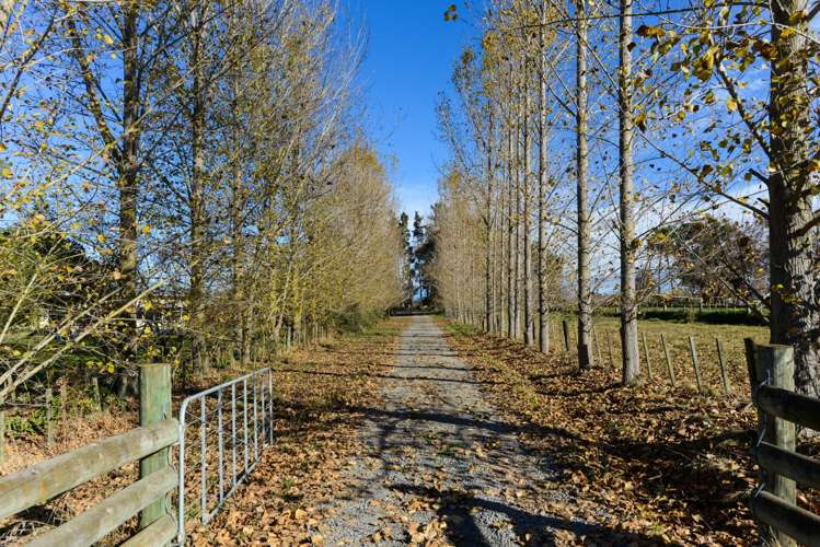 8b Knorp Street Otane_3