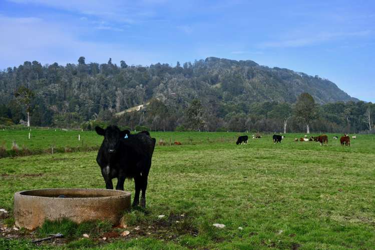 106 Granite Creek Road Karamea_10