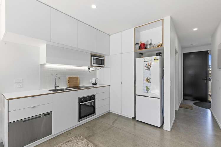 47 Te Ara O Paetutu Petone_4