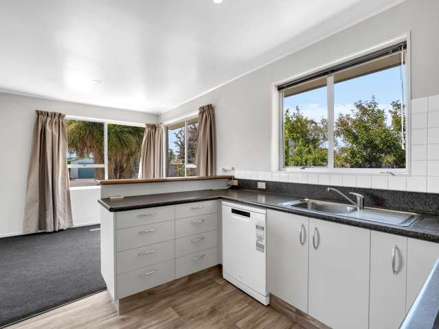 106 Grove Street Tinwald_3