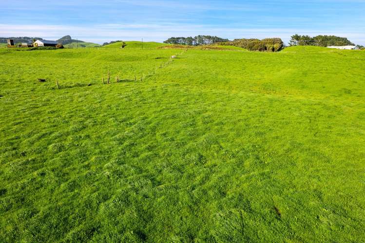 523/593 Warea Road Warea_10