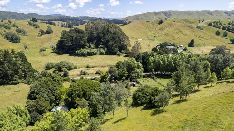 404 North Road Mauriceville_19