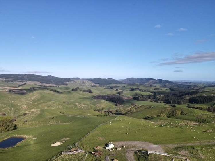 2256 Weber Road Dannevirke_8