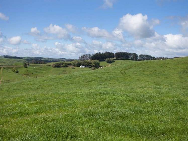 450 Ngapaenga Road Pomarangai_7