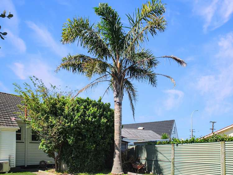 8 Johnston Street Foxton_14