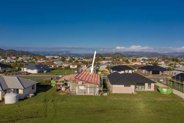 6 Palm Drive Whitianga_6