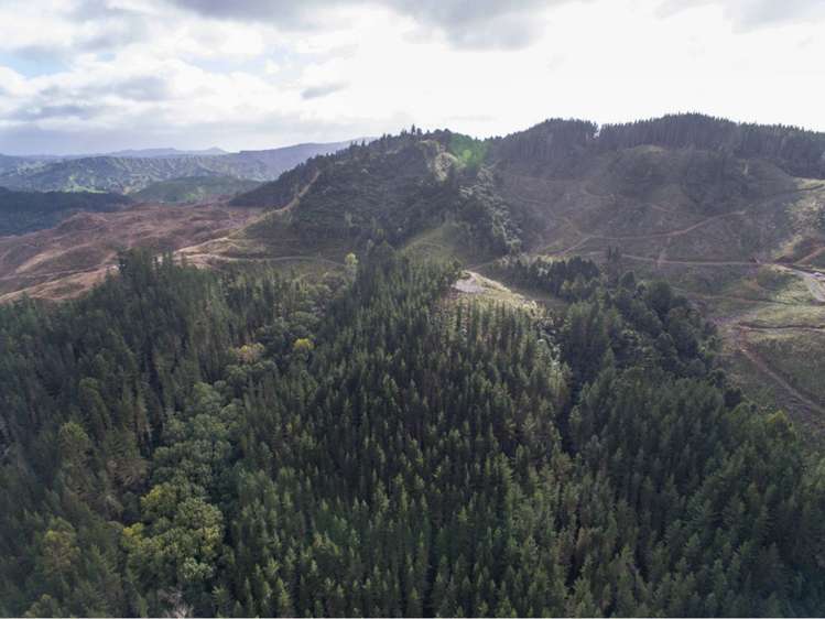 15 State Highway 49 Ohakune_6