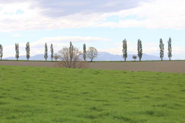 49 McCully Road Temuka_15