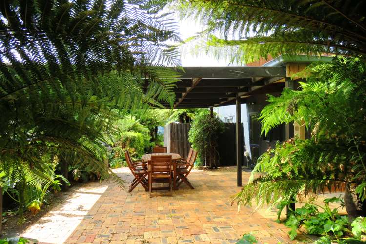 63 Taplin Road Matangi_10