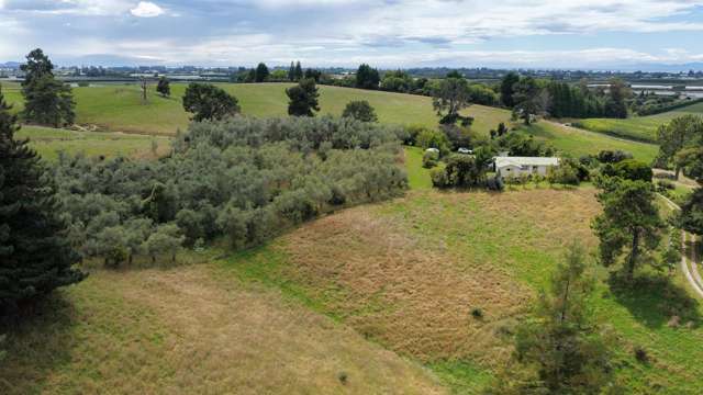 Income, Grazing & Serene Rural Vistas