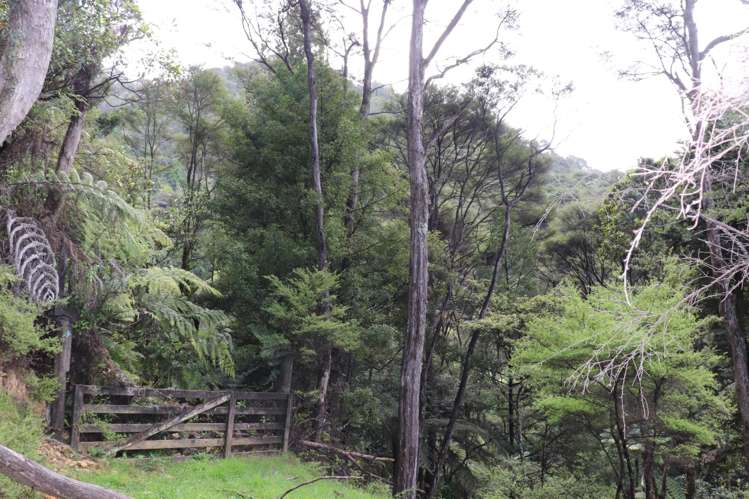 51a Waingaro Road Ngaruawahia_19