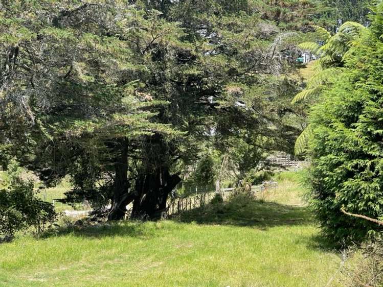 500 Reid Road Papamoa_27