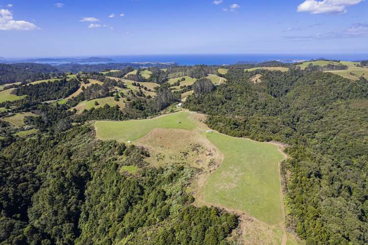 114 Hay Road Hukerenui and Surrounds_36