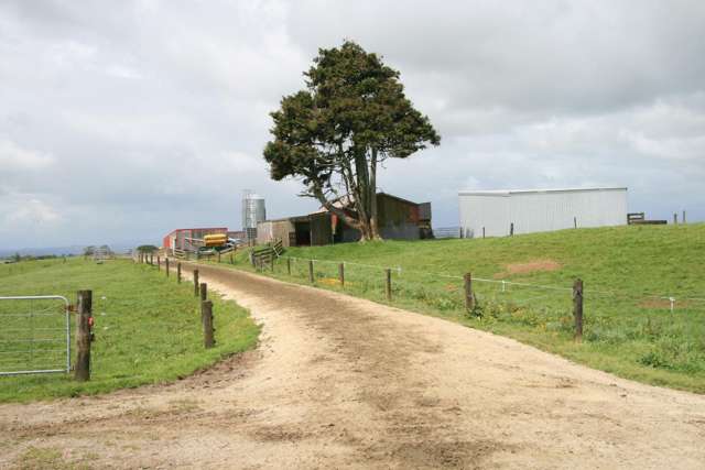 496 Opunake Road Cardiff_2