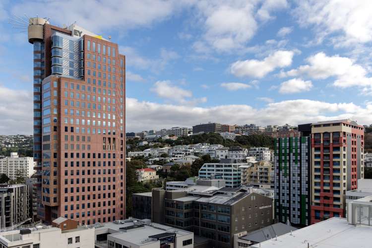 16c/9 Chews Lane Wellington Central_12