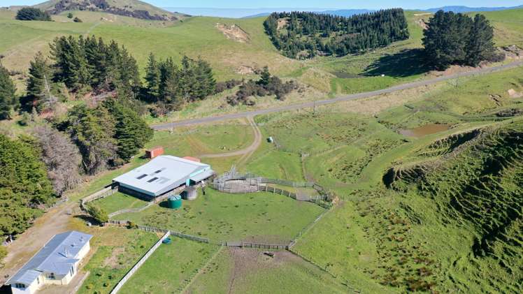 331 Waitahora Road Waitahora_10