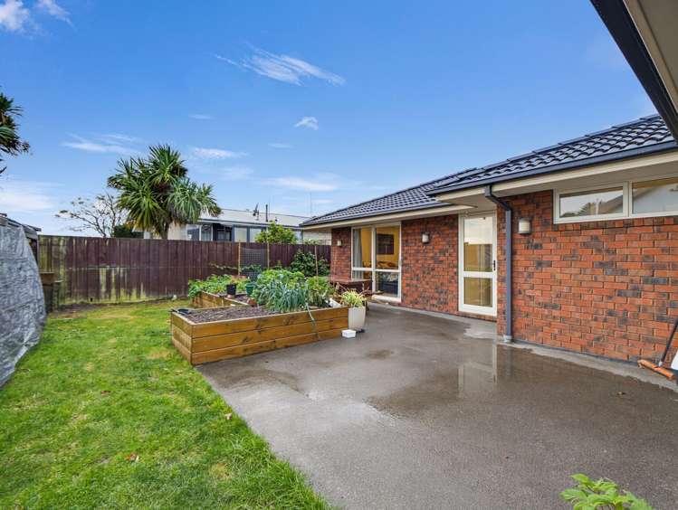 151 Shaw Avenue New Brighton_23